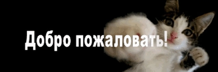 1738781229219.png