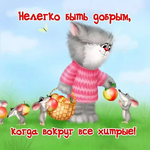 1740774264005.png