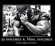 IMG_0584.jpeg