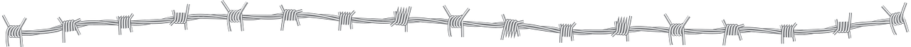 barbed-wire-line-clipart-lg.png