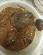 IMG_7701.jpeg