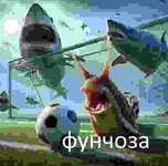 IMG_0950.jpeg