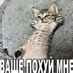 96db971498f55927b5074ef101f688f0.jpg