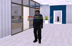 sa-mp-829.png