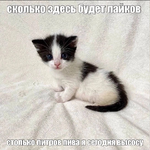 1763556325936.png