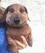 IMG_1195.jpeg